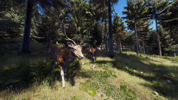 Fotos Do Slide do Jogo Way of the Hunter