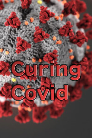 Curing Covid cover art