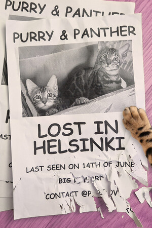 Purry & Panther: Lost in Helsinki cover art