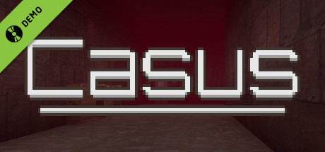Casus Demo