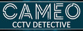 CAMEO: CCTV Detective