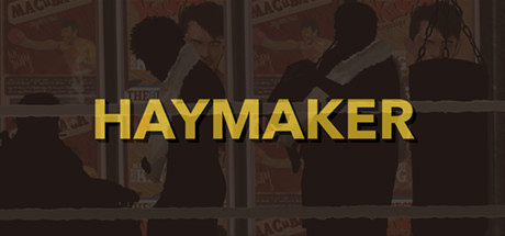 Haymaker Cover Image