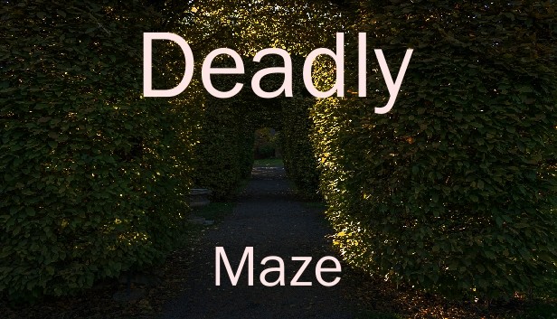 Deadly Maze Steam capsule image