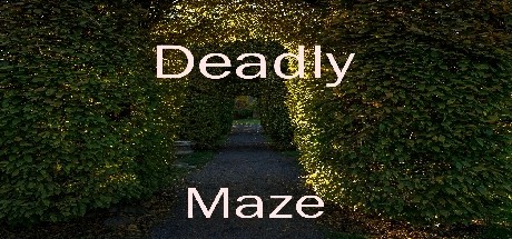 Deadly Maze Cover Image