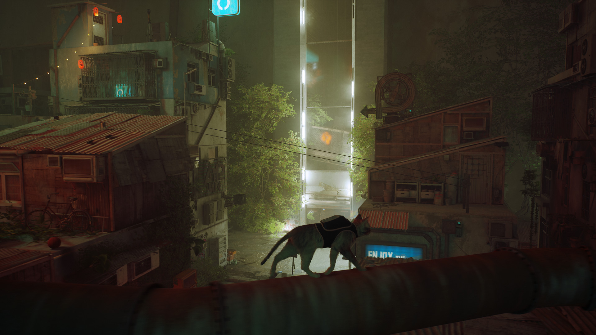 Stray, o jogo do gato, será lançado no Xbox - Outer Space