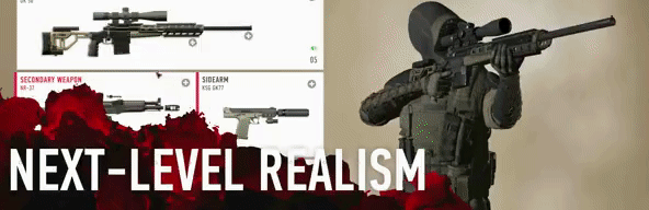 GIF_Realism_Reduced2.gif