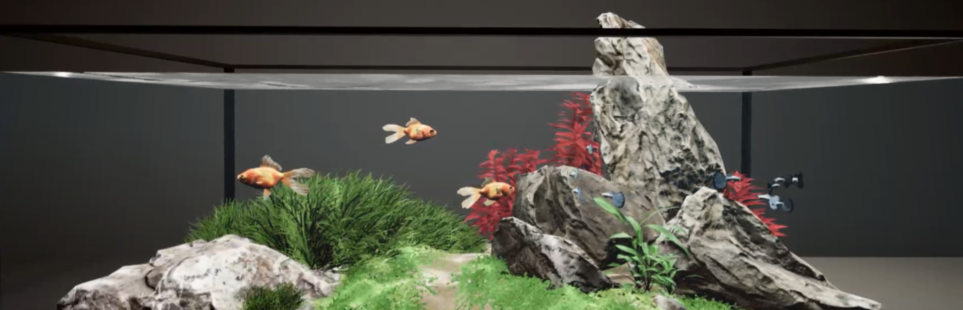 Aquarium Designer (App 1339000) · SteamDB