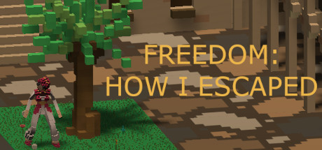 Freedom: How I Escaped Cover Image