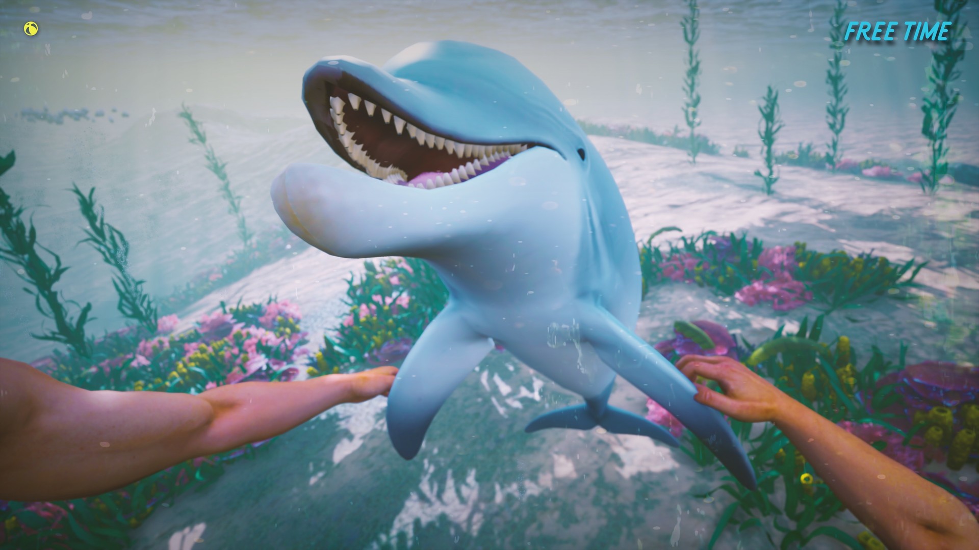 Steam Dolphin Trainer Vr Steam Dolphin Trainer Vr