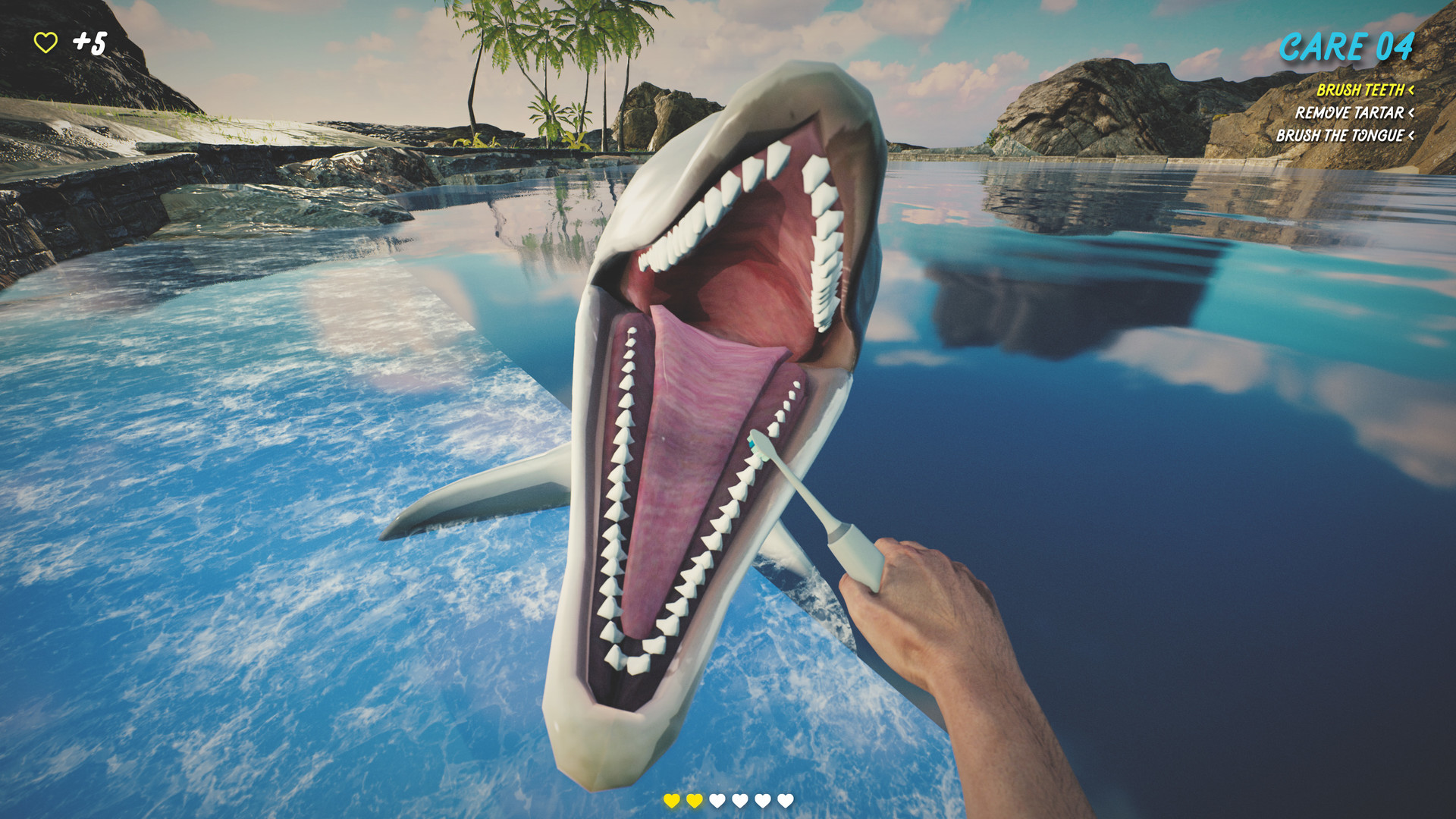 Steam Dolphin Trainer Vr Steam Dolphin Trainer Vr
