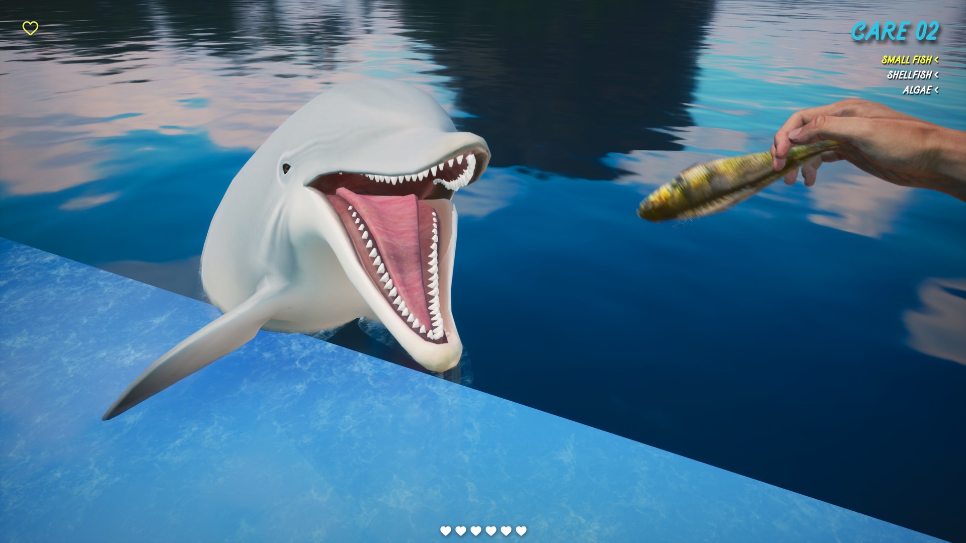 Steam Dolphin Trainer Vr Steam Dolphin Trainer Vr