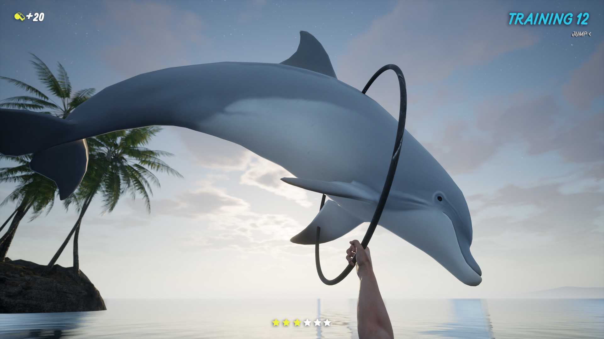 Steam Dolphin Trainer Vr Steam Dolphin Trainer Vr