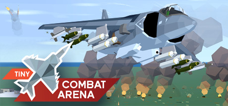 Tiny Combat Arena Free Download