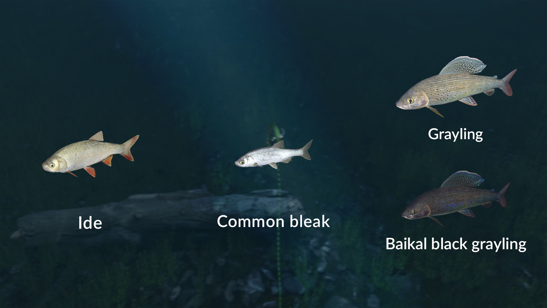 Ultimate Fishing Simulator - New Fish Species on Steam