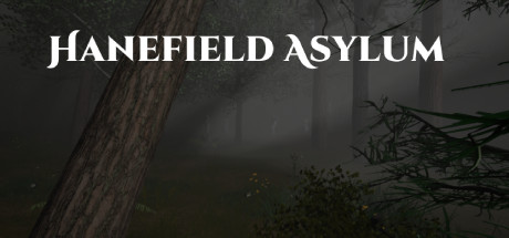 Hanefield Asylum Cover Image