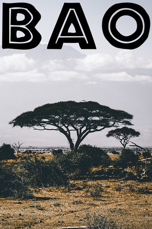 BAO