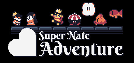 Super Nate Adventure Cover Image