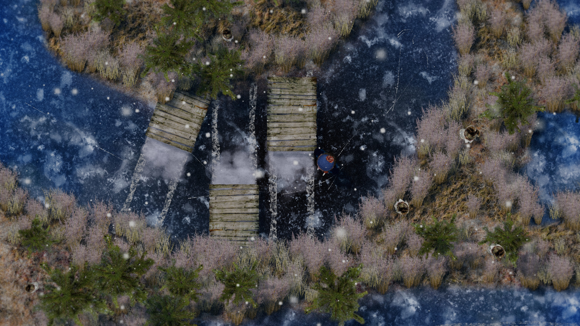 How I learned to Skate