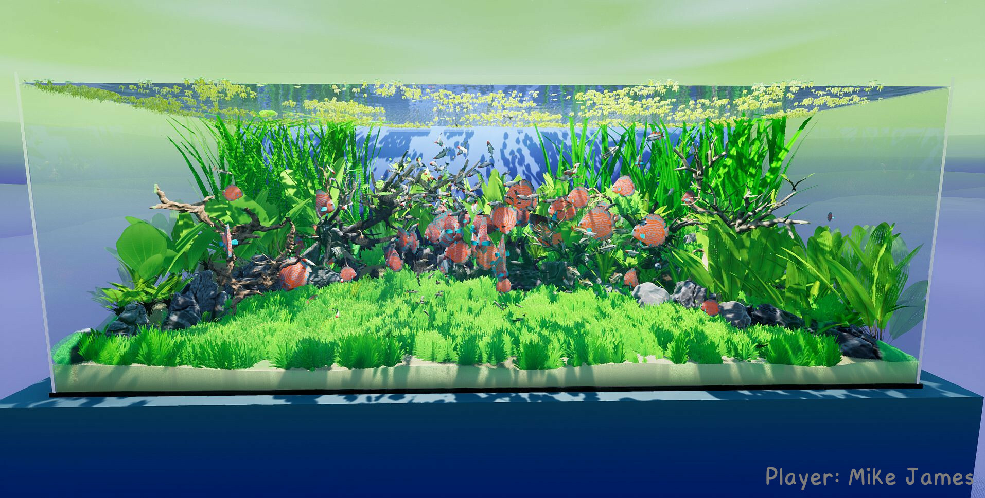 Save 20% on Fish Game on Steam