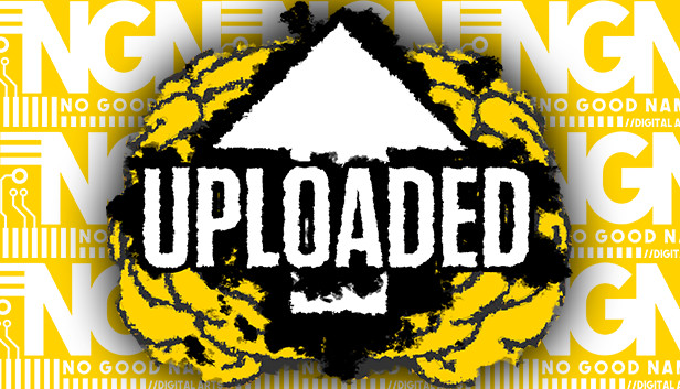 Uploaded Steam capsule image
