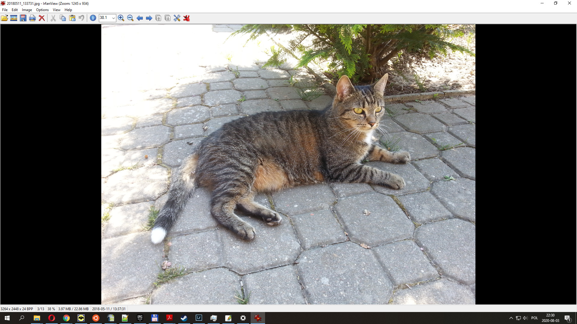 The USB Stick Found in the Grass on Steam