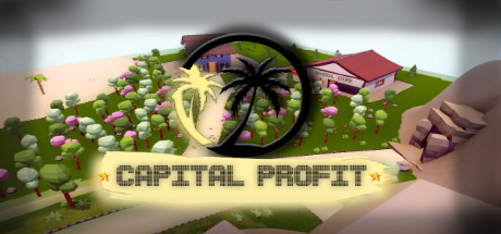 Capital Profit