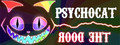 Psychocat: The Door