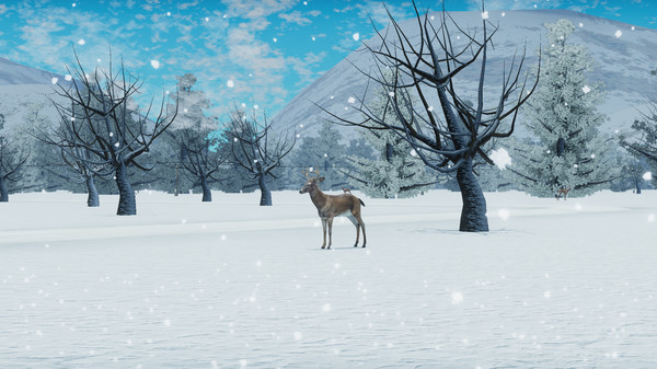 My Village Life v30 03 2022