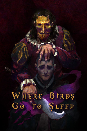 Where Birds Go to Sleep cover art