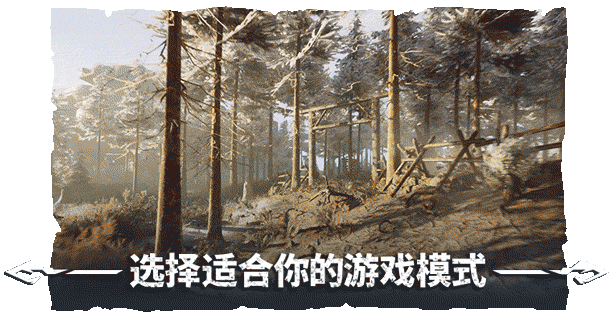 冬日幸存者+中文版，直接玩