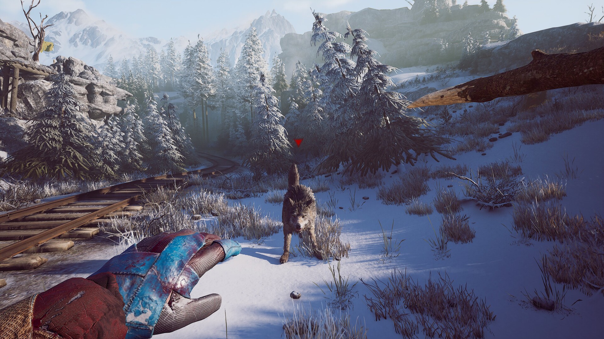 Winter Survival Review - Early Access