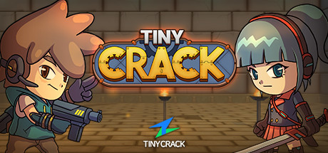 TinyCrack Cover Image