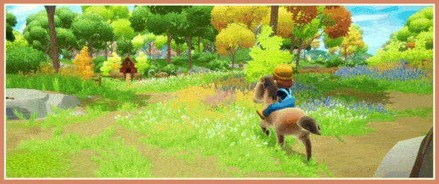 梦幻谷有什么特色内容