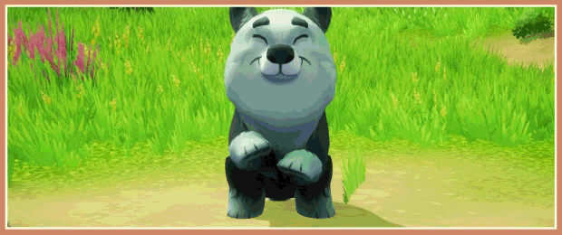 梦幻谷有什么特色内容