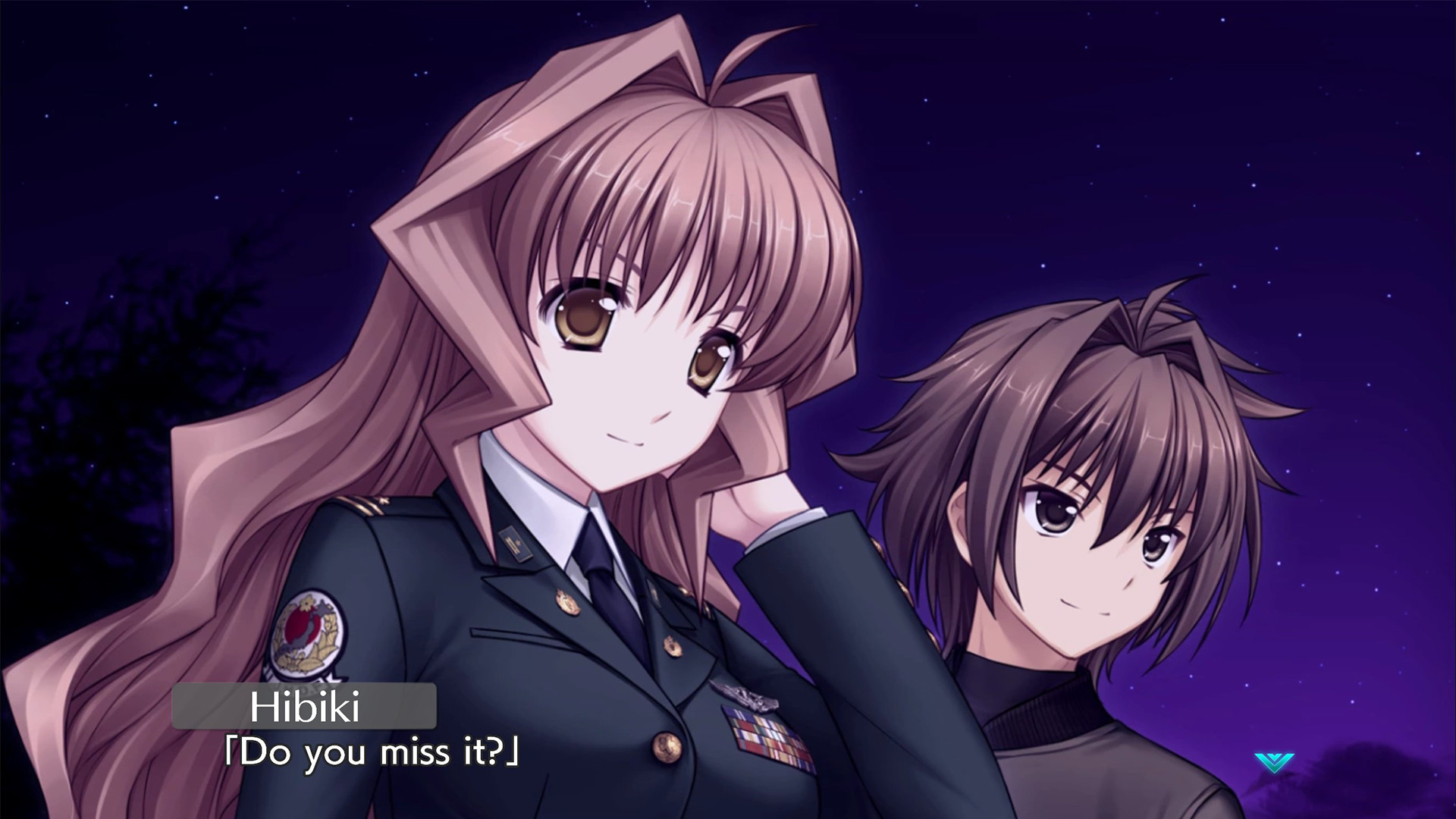 Muv-Luv Unlimited: THE DAY AFTER