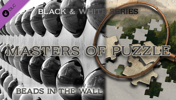 Masters of Puzzle - Black and White - Beads in the Wall Steam capsule image