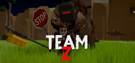 Team-Z Cover Image