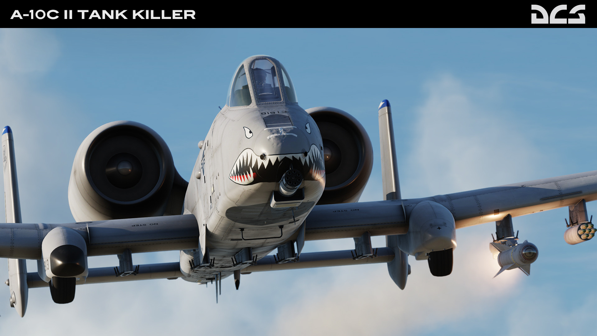 DCS: A-10C II Tank Killer on Steam