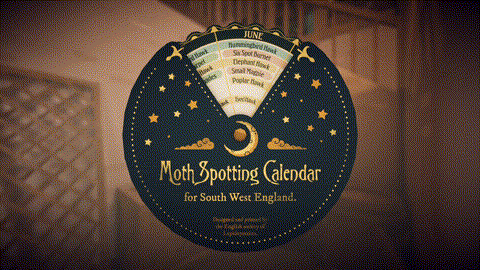 MothCalendar_Steam.gif?t=1712671134