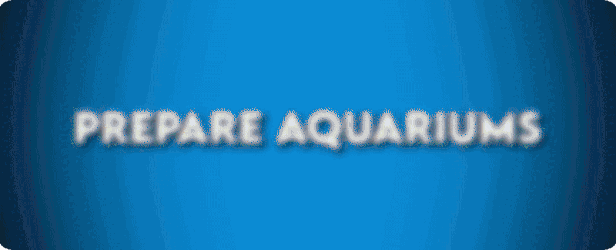 1.gif?t=1711734991