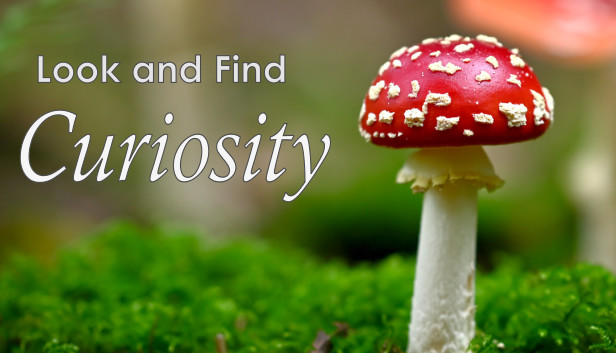 Look and Find - Curiosity Steam capsule image