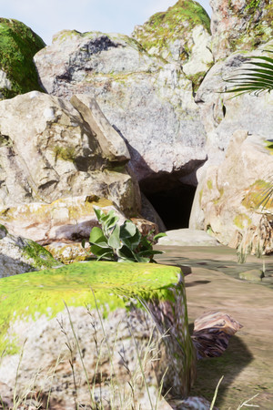 Cave Explorer