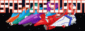 Space Force Squadron
