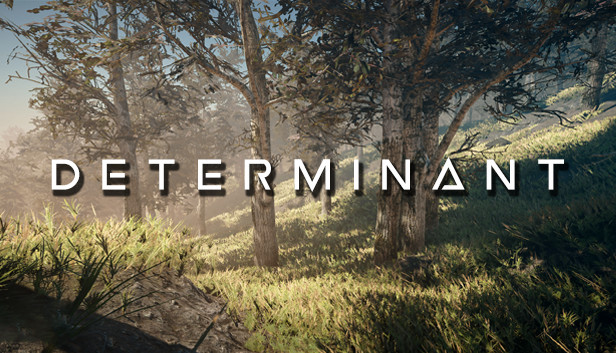 Determinant Steam capsule image