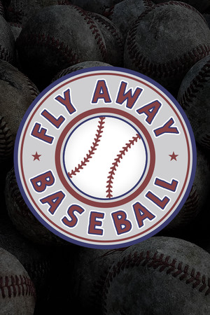 Fly Away Baseball cover art