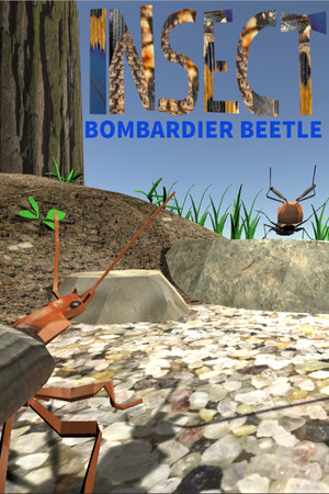 Insect: Bombardier beetle cover art