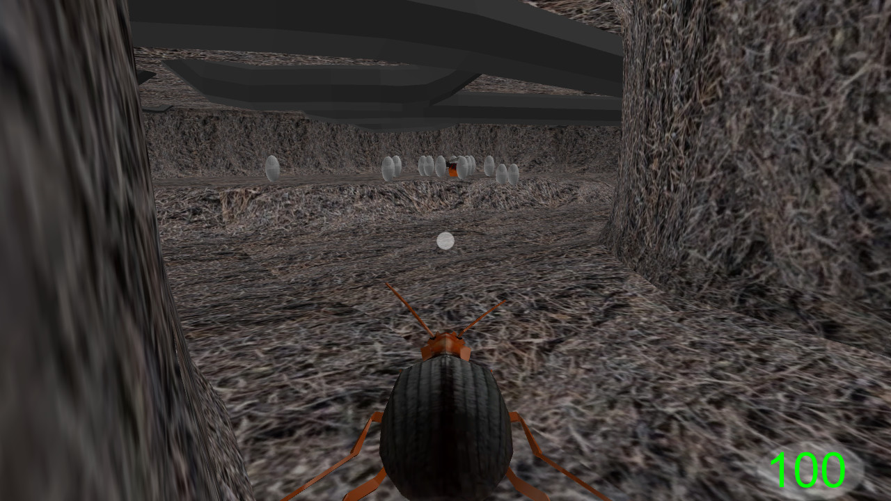 Insect Bombardier Beetle On Steam Insect Bombardier Beetle On Steam