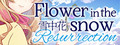 Flower in the Snow - Resurrection