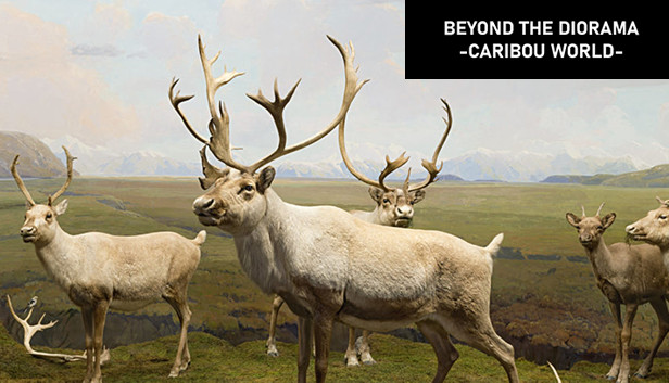 Beyond The Diorama: Caribou World Steam capsule image