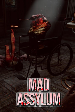 VR Mad Asylum cover art